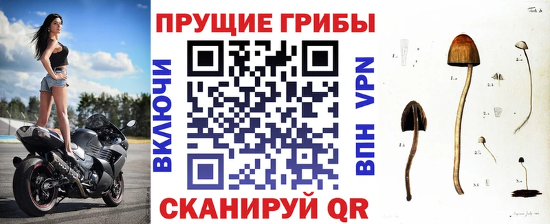 KRAKEN сайт  нарко площадка какой сайт  Галлюциногенные грибы ЛСД  Крым 
